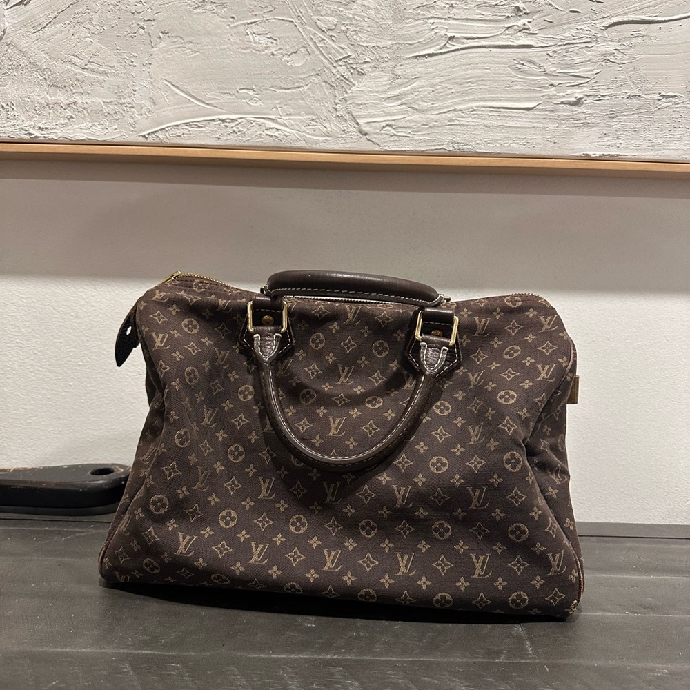 Louis Vuitton Brown Speedy 30 Bag